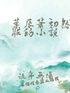 叶辰萧初然最新版的小说