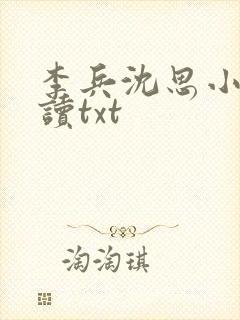 李兵沈思小说阅读txt