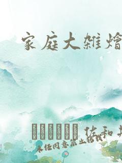 家庭大杂烩小说