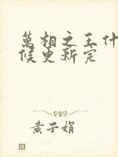 万相之王什么时候更新完