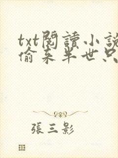 txt阅读小说偷来半世只为爱你
