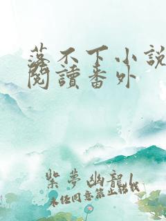 落不下小说全文阅读番外