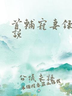 首辅宠妻录 小说