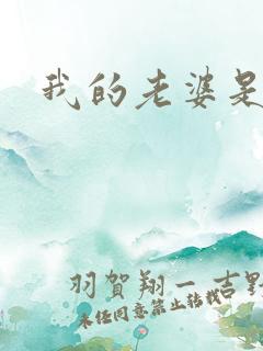 我的老婆是总裁