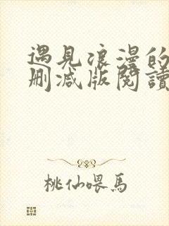 遇见浪漫的他无删减版阅读