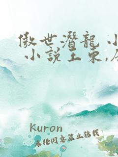 傲世潜龙 小说 小说王东,唐潇