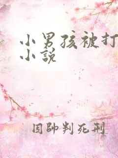 小男孩被打屁眼小说