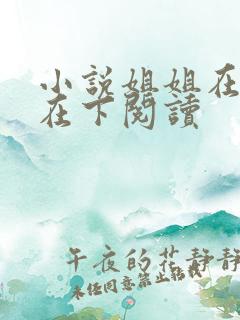 小说姐姐在上我在下阅读