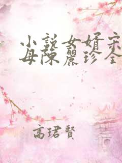 小说女婿宋阳岳母陈丽珍全文阅读