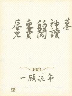 辰东的神墓小说免费阅读