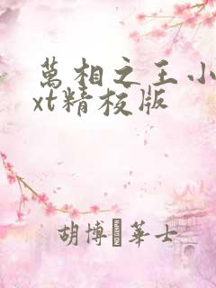 万相之王小说txt精校版
