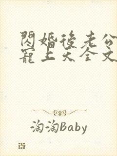 闪婚后老公每天宠上天全文免费阅读