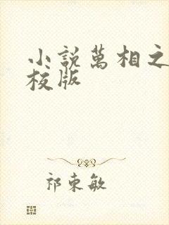小说万相之王精校版