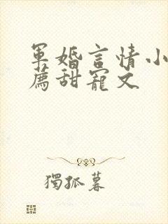 军婚言情小说推荐甜宠文