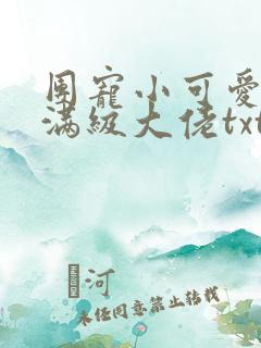 团宠小可爱成了满级大佬txt下载