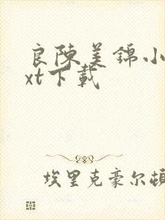 良陈美锦小说txt下载
