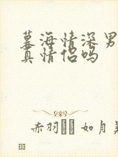暮海情深男主是真情侣吗