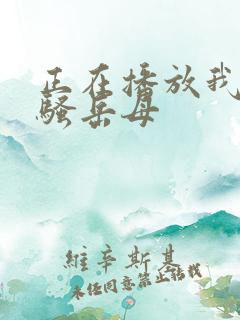 正在播放我的风骚岳母