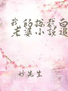 我的总裁白富美老婆小说追书