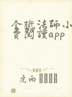 全职法师小说免费阅读app