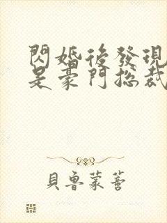 闪婚后发现老公是豪门总裁 全本