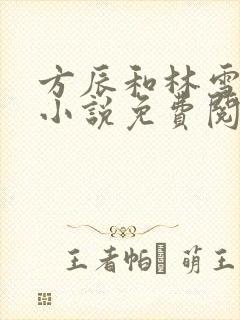 方辰和林雪妍的小说免费阅读无弹窗全文
