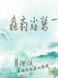 爽文小说一口气听到结局