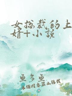 女总裁的上门女婿+小说