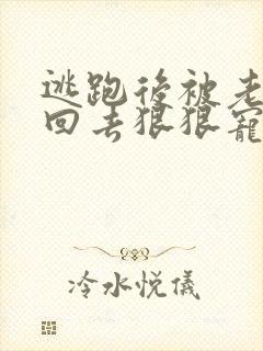 逃跑后被老公抓回去狠狠宠爱小说