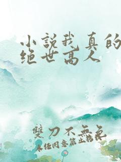 小说我真的不是绝世高人