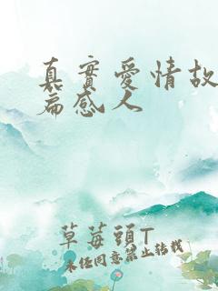 真实爱情故事短篇感人