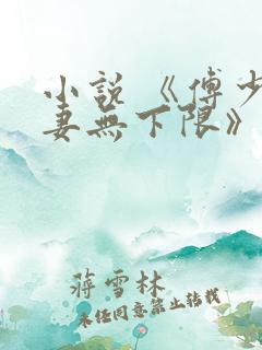 小说 《傅少宠妻无下限》