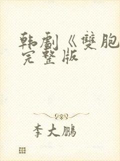 韩剧《双胞胎》完整版