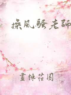 操风骚老师小说
