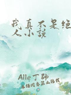 我真不是绝世高人小说
