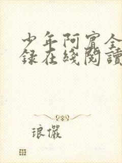 少年阿宾全文目录在线阅读