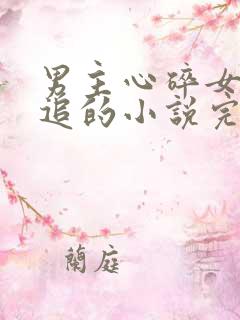 男主心碎女主倒追的小说完结