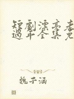 短剧漂亮老婆陪过年全集免费观看