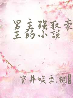 男主强取豪夺女主的小说