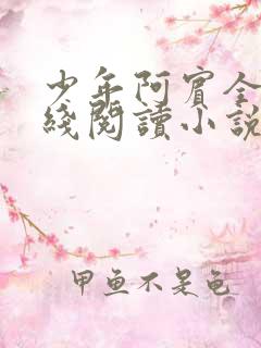 少年阿宾全文在线阅读小说
