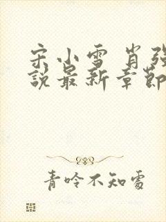 宋小雪 肖强小说最新章节阅读全文