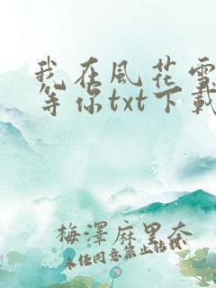 我在风花雪夜里等你txt下载