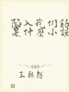 陷入我们的热恋是什么小说