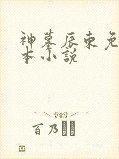 神墓辰东免费全本小说