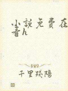 小说免费在线观看h