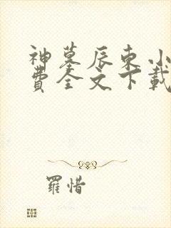 神墓辰东小说免费全文下载