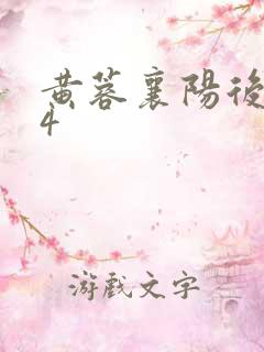 黄蓉襄阳后记04