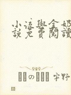 小流与金奶奶小说免费阅读