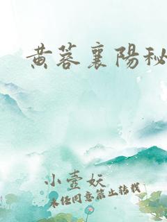 黄蓉襄阳秘史