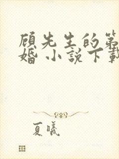 顾先生的第一宠婚 小说下载txt
